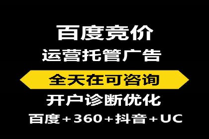 行业领先企业的SEM竞价代运营案例解析