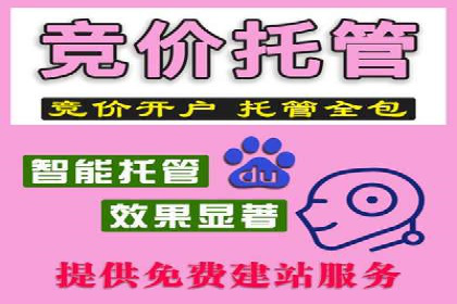 竞价排名案例：应对竞争对手策略